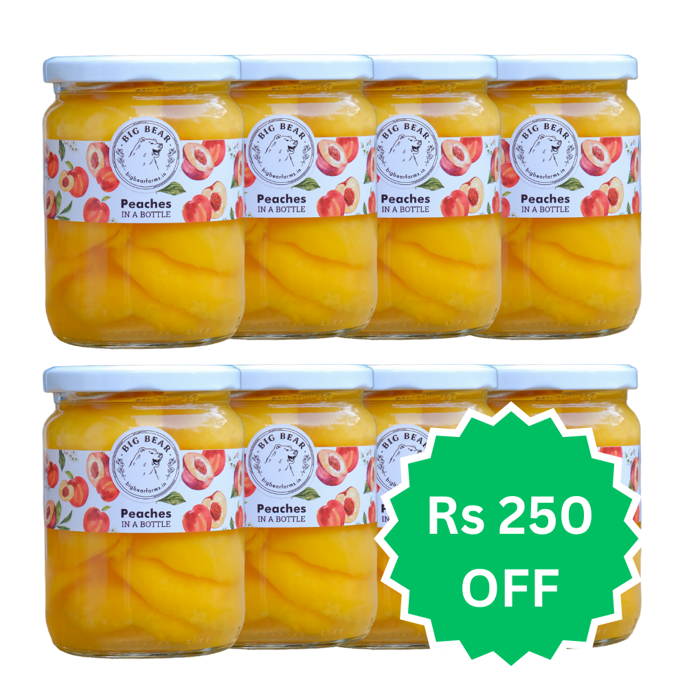 8 x PACK Bottled Peaches 500g - Big Bear Farms