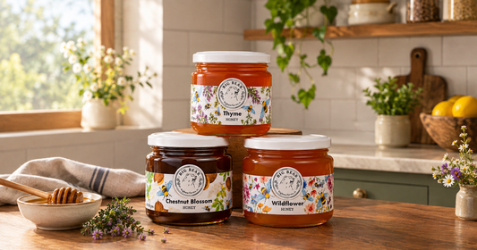 Wildflower, Chestnut or Thyme: Which Honey for Which Use