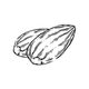 Almond