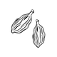Cardamom