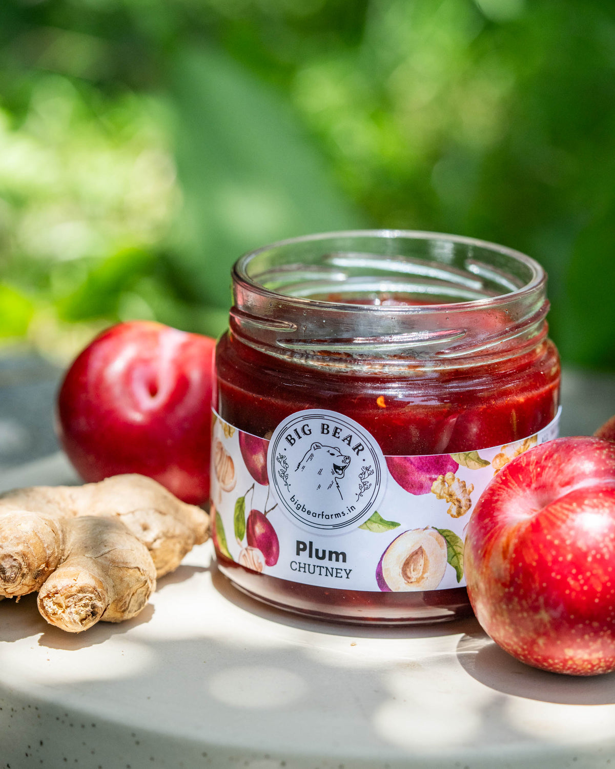 A glass jar of Big Bear Farms Plum Chutney sits on a light stone surface outdoors, surrounded by fresh red plums and ginger roots. The jar has a white label with red and green fruit illustrations and the Big Bear Farm logo.