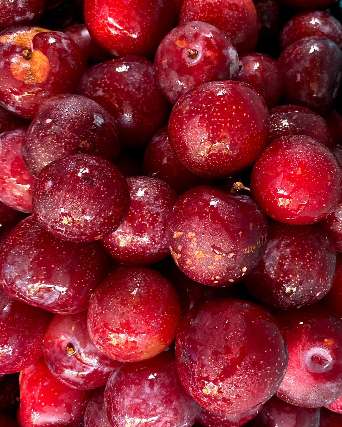 A close-up pile of glossy red cherries with visible skin and small speckles, filling the frame. Big Bear Farms Plum Chutney
