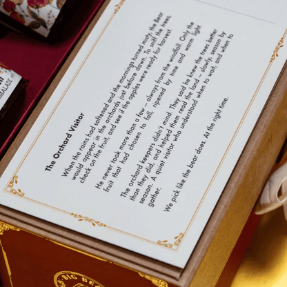 The BEAR - Postcard Gift Box