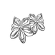 Star anise 